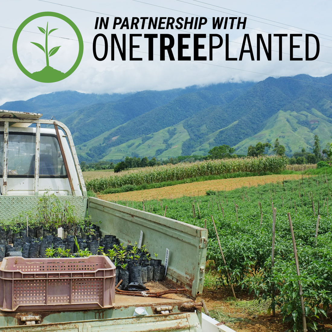Our Partners