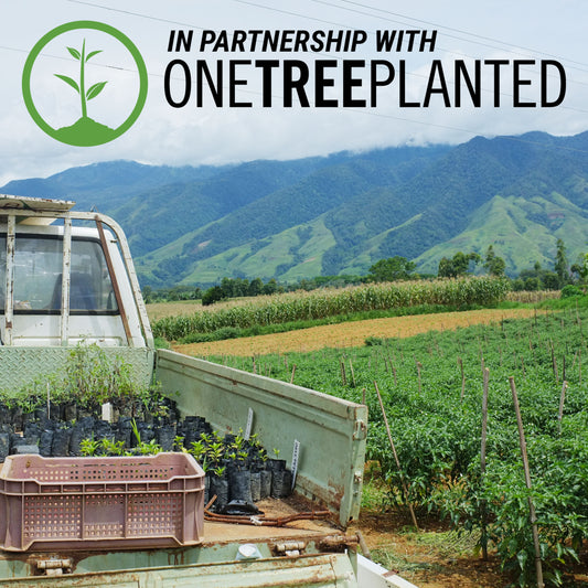 Our Partners